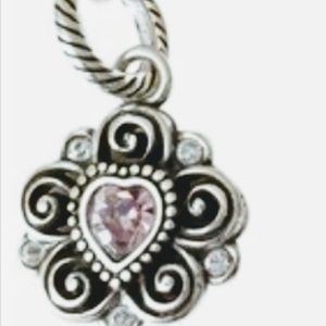 Retired Brighton Charm